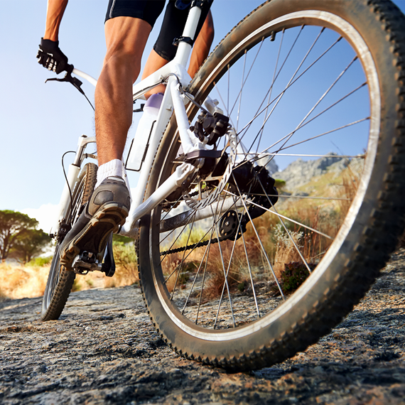 Mountainbike in der Natur