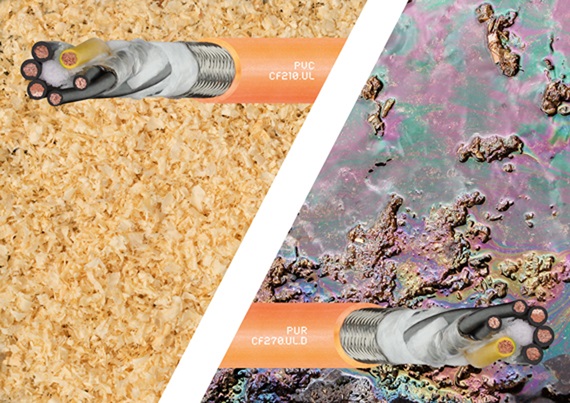 Preis-Check Online-Seminar