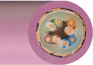 Busleitung chainflex®